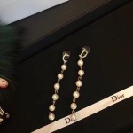 Dior earrings