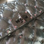 Valentino Fan Bingbing with the handbag 0123