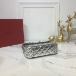 Valentino Fan Bingbing with the handbag 0123