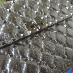 Valentino Fan Bingbing with the handbag 00122