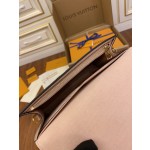 Louis Vuitton exclusive debut model: N60287