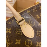 Louis Vuitton M48813