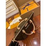 Louis Vuitton Large M48814