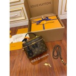 Louis Vuitton exclusive starting model: M45165