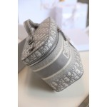 DIOR TRAVEL VANITY Cosmetic Bag