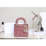𝙇𝙖𝙙𝙮 𝘿𝙞𝙤* hibiscus powder Patent leather cow leather mini handbag