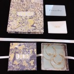 Dior earrings