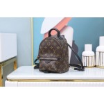 Louis Vuitton 𝐏𝐀𝐋𝐌 𝐒𝐏𝐑𝐈𝐍𝐆𝐒mini backpack🎒M44873