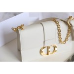 Montaigne Montaigne palm print chain bag palm white