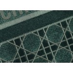 DIOR TOTE embroidered vine check pattern dark green velvet