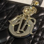Dior Lady