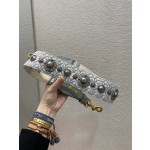 Dior classic heavy letter shoulder strap