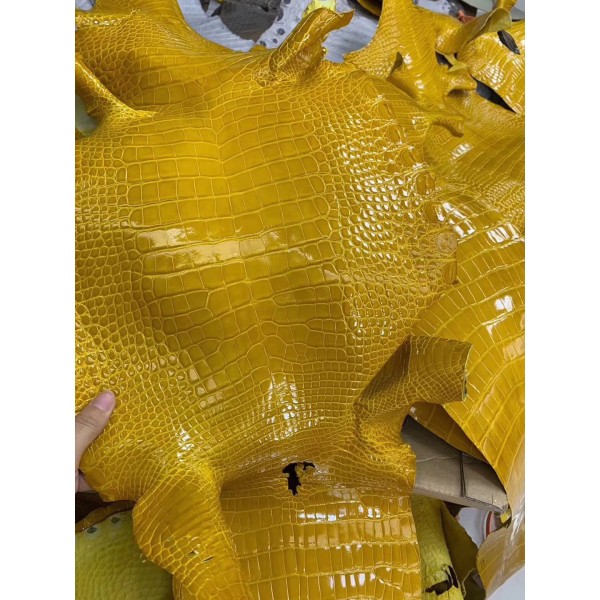 Hermès makes exclusive leather glossy American alligator:amber yellow