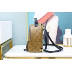 Louis Vuitton 𝐏𝐀𝐋𝐌 𝐒𝐏𝐑𝐈𝐍𝐆𝐒mini backpack🎒M44872