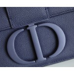 Montaigne palm print cow leather flap bag