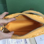 GOYARD Crossbody Camera Bag W26
