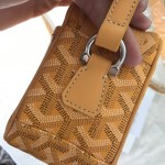 GOYARD Crossbody Camera Bag W26