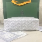 GOYARD Crossbody Camera Bag W26