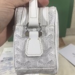 GOYARD Crossbody Camera Bag W26