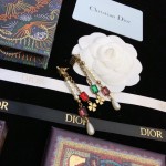 Dior earrings