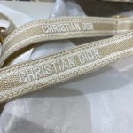 Dior's latest mini straps