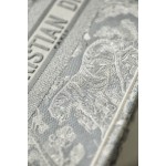 DIOR TOTE Grey embroidery