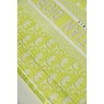 DIOR TOTE Oblique Fluorescent Green