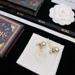 Dior earrings