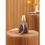 Louis Vuitton𝐍𝐀𝐍𝐎 𝐒𝐏𝐄𝐄𝐃𝐘 pillow bag series M61252