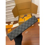 Louis Vuitton exclusive starting model: N41696