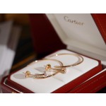 Cartier earrings