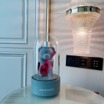 Christmas roseonly guitar bear 🎸