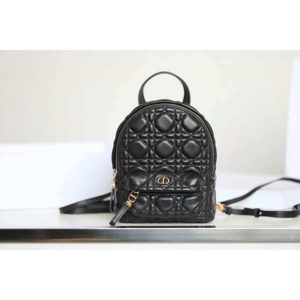 DIOR BACKPACK mini duffel bag DR-09