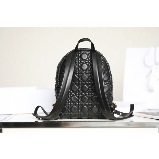 DIOR BACKPACK small size shoulder bag DR-89