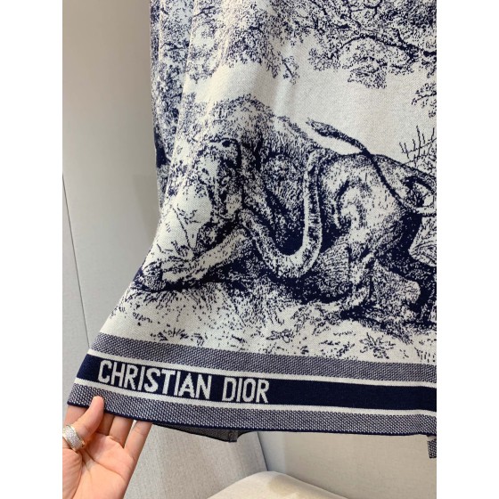 Dior knitted jacquard coat (consult customer service to confirm the size before placing a custom order)