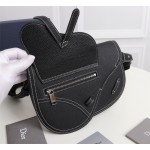 Dior SADDLE Men's Crossbody Bag/Chest Bag