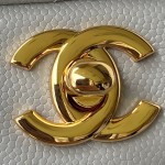 CHANEL A01112 caviar