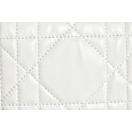 ▪️ DIOR CARO White Gunmetal Buckle DR-061