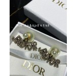 Dior CD Earrings