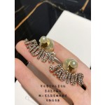 Dior CD Earrings