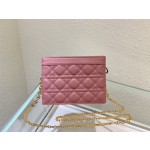Dior Caro Zip Clutch3102