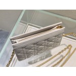 Dior slim DⅠOR CARO woc zipper clutch3102