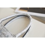 DIOR TOTE Gradient Tiger