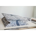 DIOR TOTE Gradient Tiger