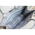 DIOR TOTE Gradient Tiger