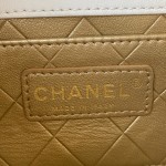 CHANEL Pearl Hairpin Micro Seal Bag Model. 2978