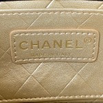 CHANEL Pearl Hairpin Micro Seal Bag Model. 2978