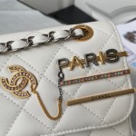 CHANEL Pearl Hairpin Micro Seal Bag Model. 2979