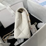 CHANEL Pearl Hairpin Micro Seal Bag Model. 2979