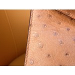 Mini Kelly Generation Evening Bag South Africa kk Ostrich Leather
